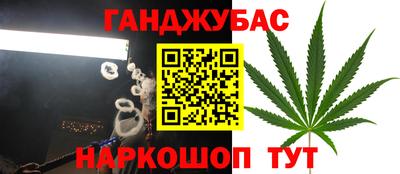 прущий лед Новозыбков